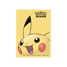 Pokemon: Sleeves (65ct)